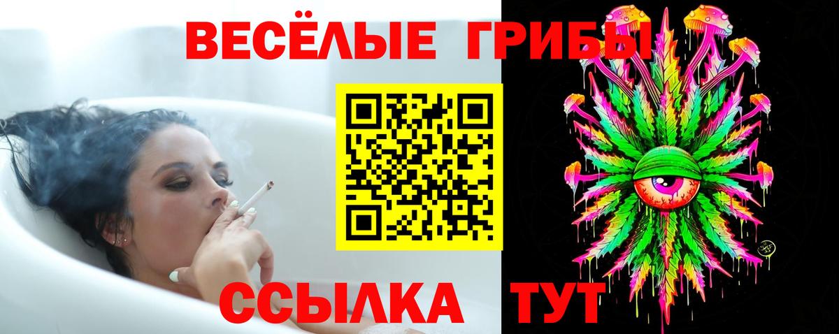 Галлюциногенные грибы Cubensis Кольчугино
