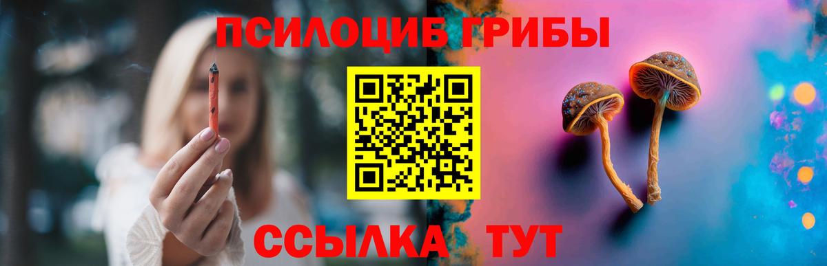 закладки  Вход с VPN  Кольчугино  Псилоцибиновые грибы Magic Shrooms 